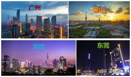 广州 佛山 深圳 东莞四个城市如何选择