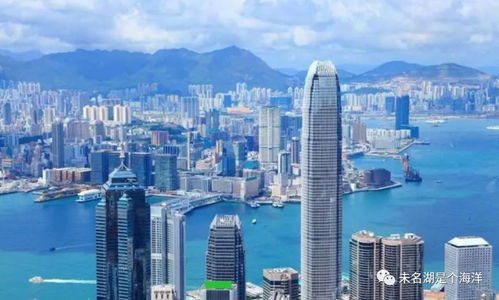 失落与骄傲 张毅的香港与深圳贸易片段